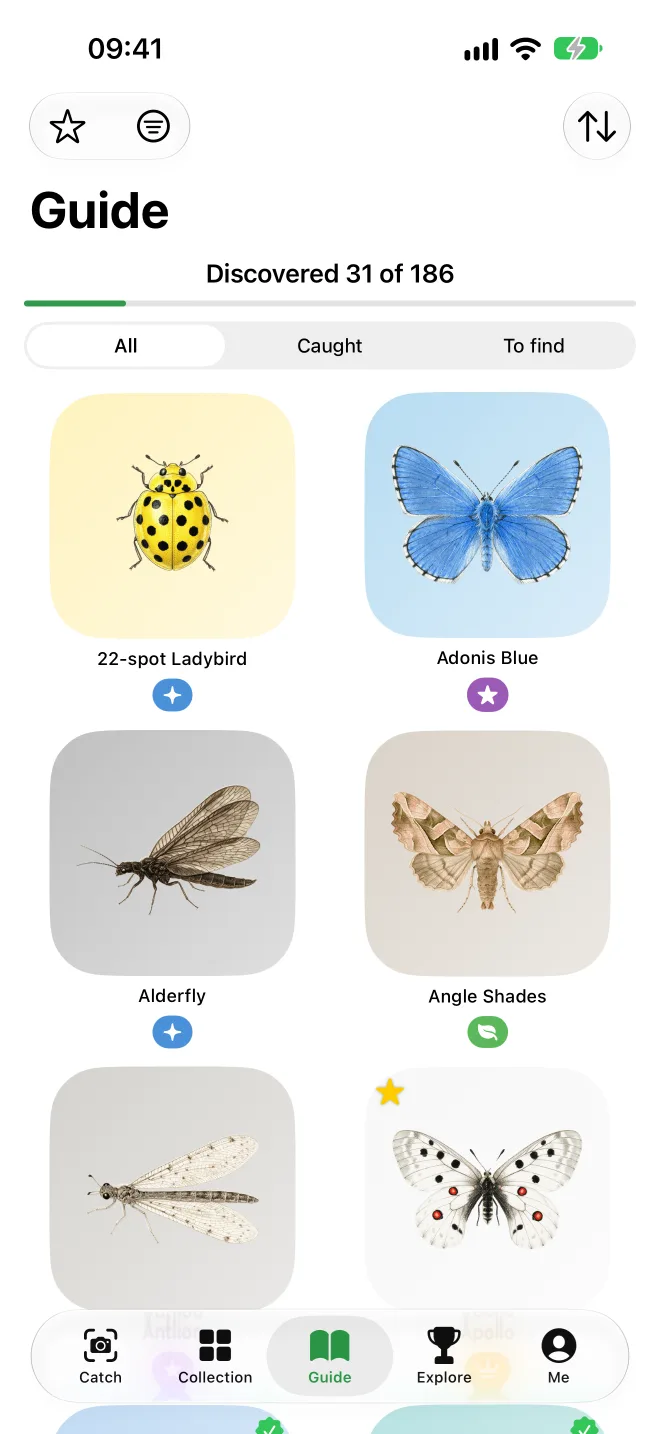 The field guide showing 31 of 186 species discovered, with filters for all, caught and to find