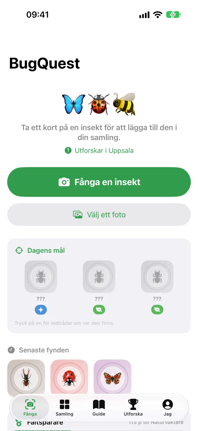 Fånga-skärmen med knappen Fånga en insekt, dagens tre mål och de senaste fynden
