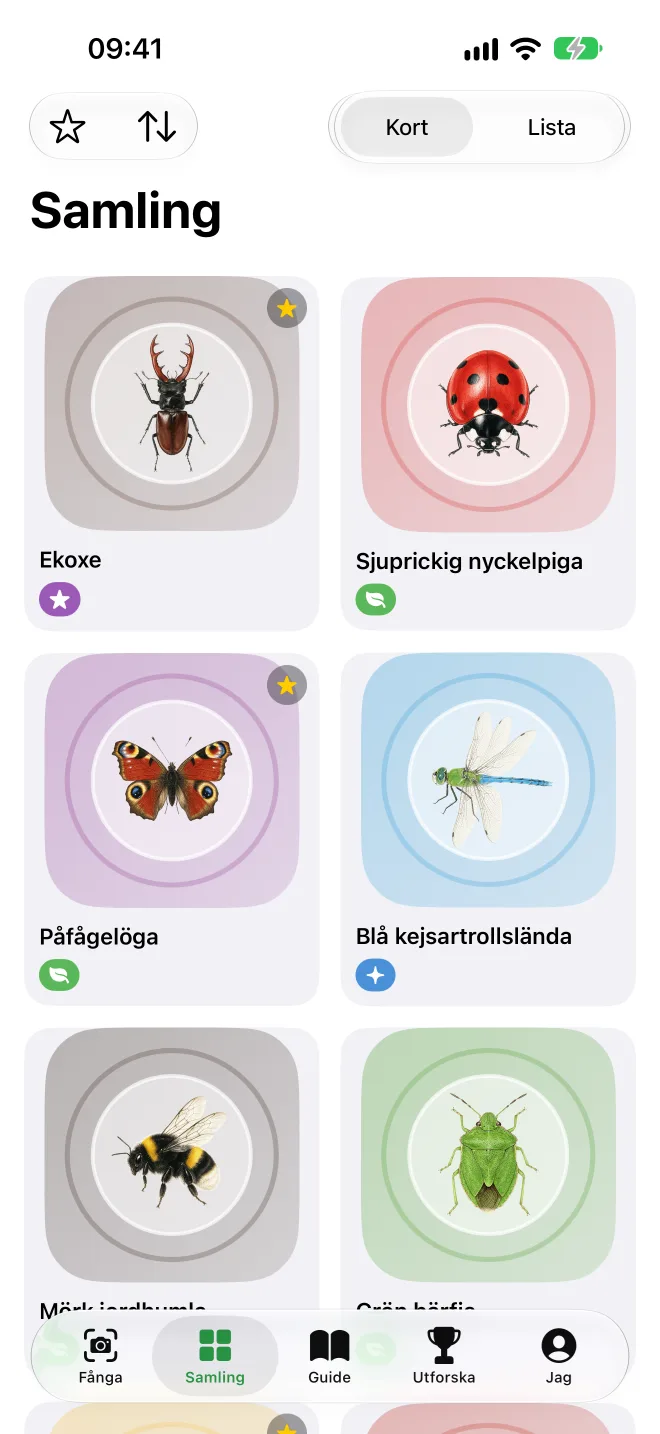 Samlingen som kort – ekoxe, sjuprickig nyckelpiga, påfågelöga och blå kejsartrollslända