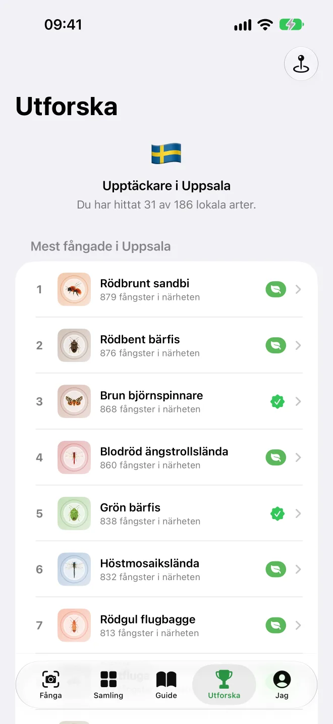 Utforska med de mest fångade arterna i Uppsala